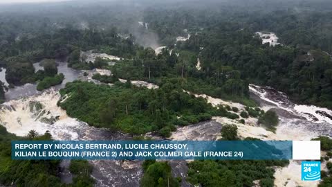 Biodiversity hotspot Gabon offers safe haven to endangered species • FRANCE 24 English
