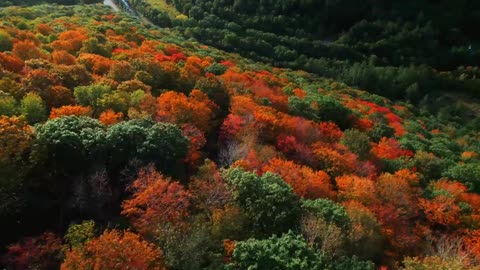 First Day of Fall 🍂 Autumn Overnight at Off Grid Riverside Cabin 🍁 Fall Foliage Adventures-1