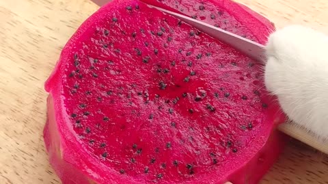 Cat chef makes dragon fruit sugar candy!_( ASMR) _ Chef Cat Cooking _ #tiktok #shorts #cat #pet