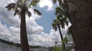 Blasian Babies Family Exchange Island Trip Jacksonville, FL Saint Johns River 2019 Chaparral 210 SunCoast