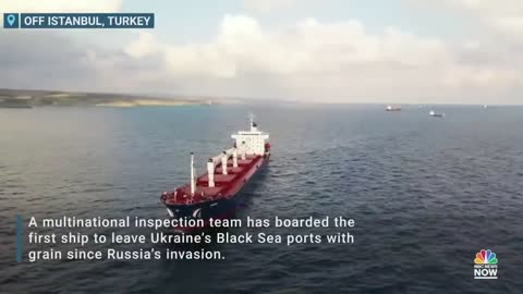 Ship Carrying Grain From Ukraine Stopped For Checks Off Istanbul