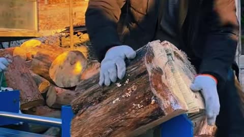Chopping firewood firewood artifact 2042