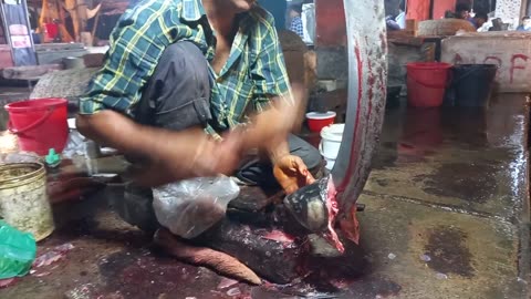 Uncle cutting giant fish