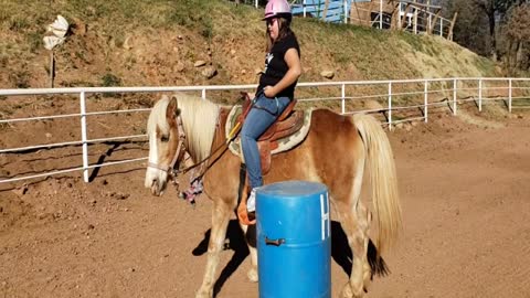 V2V 2021 DAY 20: Dennis Dueker "Therapeutic Riding at the Dueker Ranch!"