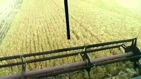 Ukraine, Russia to sign grain deal, Turkey says