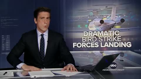 Bird strike forces emergency landing of US Air Force plane