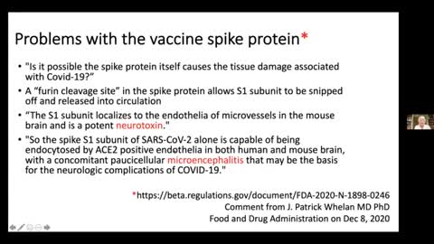 MIT scientist interview on Neurodegenerative Vax effects