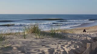 Summer Surf - Ocean City, MD