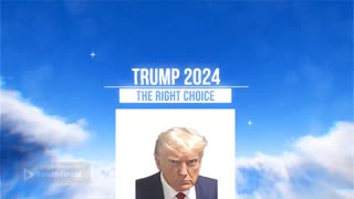 Trump 2024 Video Promo By Elaine T Kleid