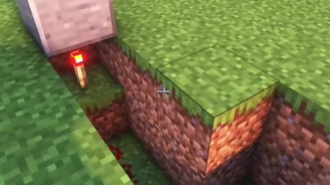 Minecraft Secret Door 😱