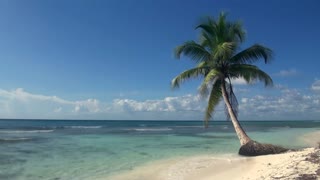 3 HOURS OF TROPICAL BEACH: Blue Sky, White Sand, Palm Tree & Waves