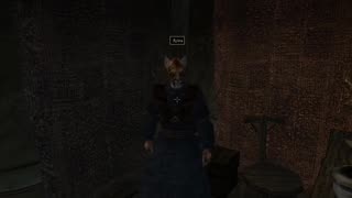 Morrowind - Ajira Stolen Reports Locations