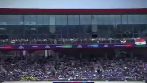 Martin Guptill also won the Final for New Zealand with this run-out