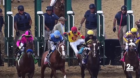 Mage makes magic ahead of 148th Preakness Stakes