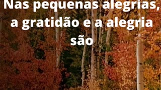 #gratidãoealegria