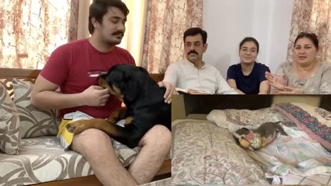 We lost him due to Parvovirus | Every dog owner must watch this video