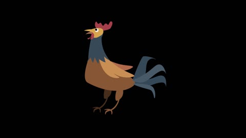 Animation of Chicken Animal Animal Animal Animal Simple Setting