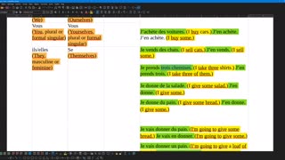 French 19 (new) pronoun complement EN