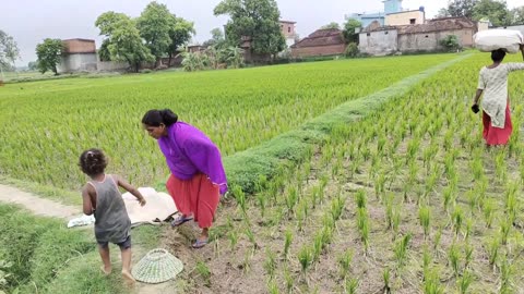 Village Life In India UP || Farmer Life Of Uttar Pradesh India || Indian real village