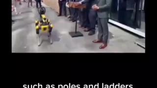 Be careful not to accidentally disable any robot police dogs