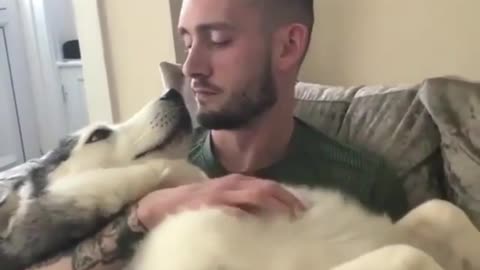 A wonderful love between man and dog