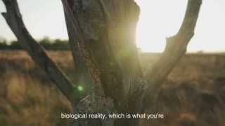 Biological Reality