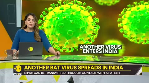 Nipah: Bat virus deadlier than Covid kills two in Indian state of Kerala | Gravitas