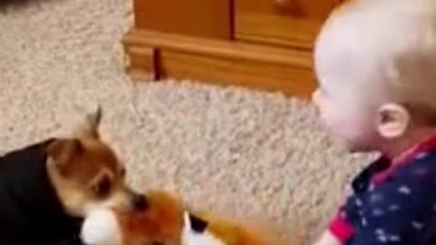 baby and dog video