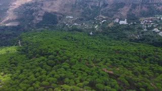 Beautifull Forest View