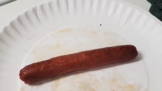 Hot Dog Challenge: Beef or Turkey?