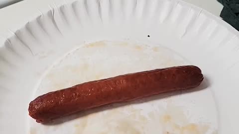 Hot Dog Challenge: Beef or Turkey?