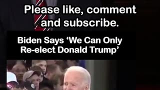 Biden Says ‘We Can Only Re-elect Donald Trump’