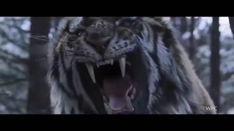 Tiger Lion Badass Epic Roar Movies Film