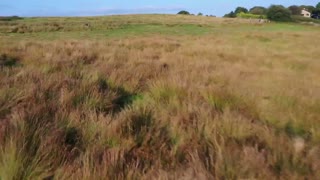 Pilot Dives Drone Straight Into Himself