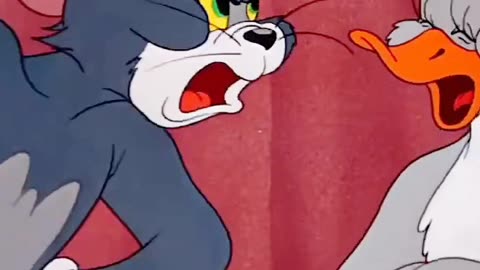 This scene♥️Tag that 😂Tag your tom and jerry Lover