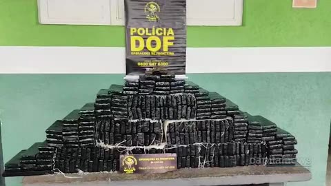 DOF apreende 250 kg de maconha em carro abandonado | Jornal Capital News