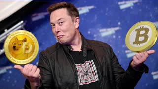 Elon Musk comenta a iniciativa de criar uma moeda comum para a América Latina.