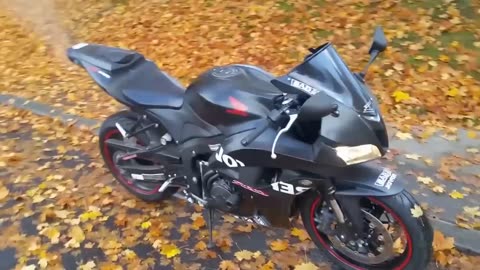 CBR 600RR WARM UP ( SHOUND TEST )