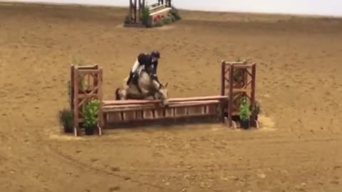 Horse Rider Falls off Jumping an Obstacle in Practice