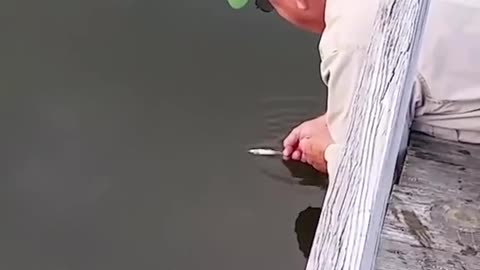 WOW he caught a fish with his bare hands!!