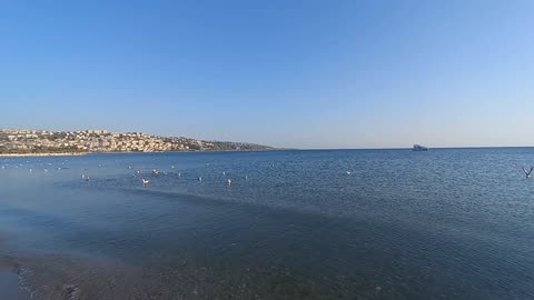 Beautiful view of the sea with birds