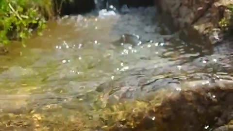The sound of water feet
