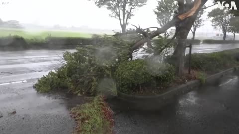 Heavy Rain and Wind as Typhoon Nanmadol Hits Japan