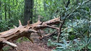 Hiking by Waterfalls and Camping, Ranger Falls Trail in the Blue Ridge Mountains, Waterfalls in Nantahala