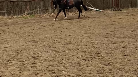 Why You Should Wear a Helmet While Horseback Riding