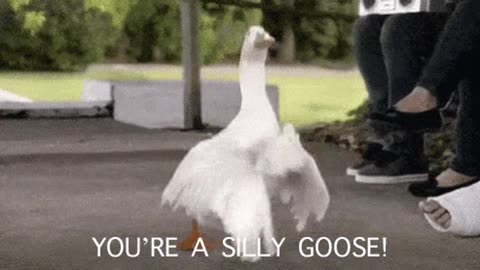 Silly Goose