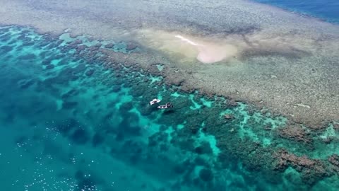 Big Fish Coral Island with Fish Huntress Amy EP3