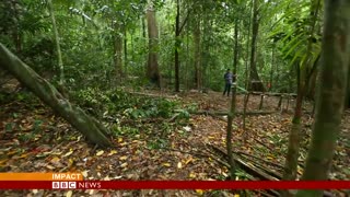 Malaysia: Jungle camps where traffickers raped & killed - BBC News
