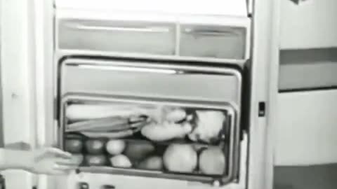 I want a 1950’s fridge!