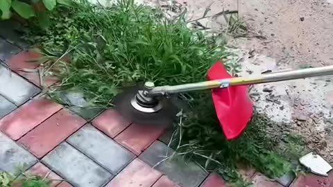 Handheld weeds cutter for your lawn and sidewalks